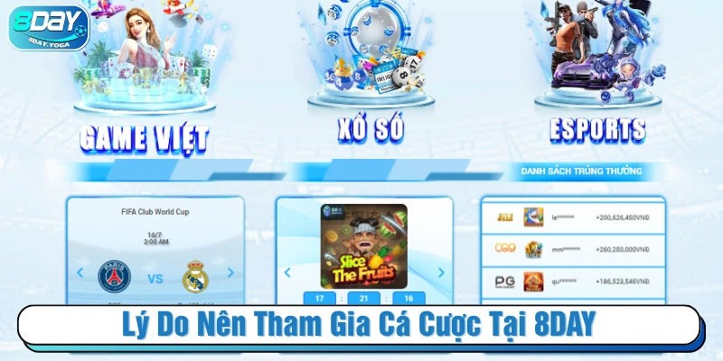 8DAY là thương hiệu lớn có nhiều sản phẩm và dịch vụ chất lượng