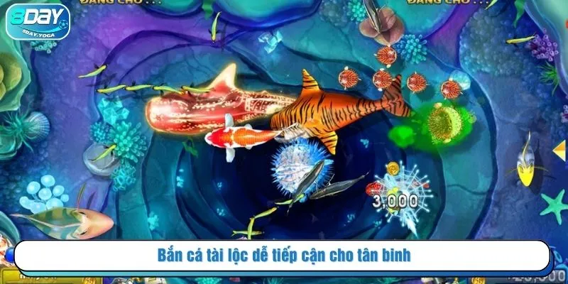 Bắn cá tài lộc dễ tiếp cận cho tân binh