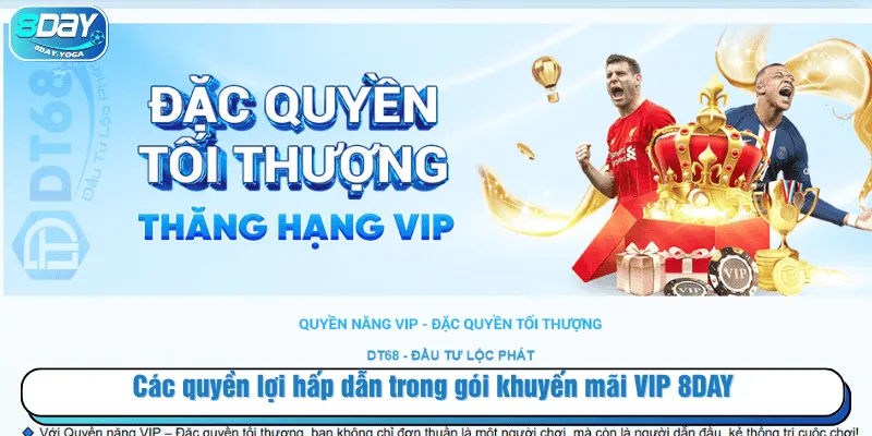 Các quyền lợi hấp dẫn trong gói khuyến mãi VIP 8DAY