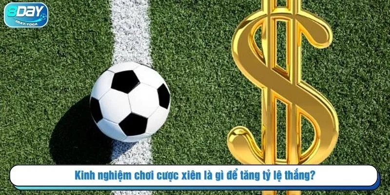 Kinh nghiệm chơi cược xiên là gì để tăng tỷ lệ thắng?