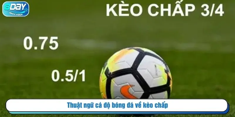 Thuật ngữ cá độ bóng đá về kèo chấp