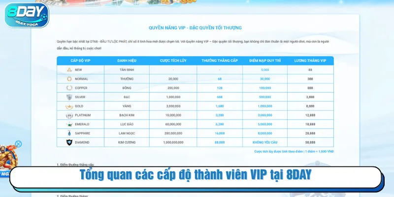 Tổng quan các cấp độ thành viên VIP tại 8DAY