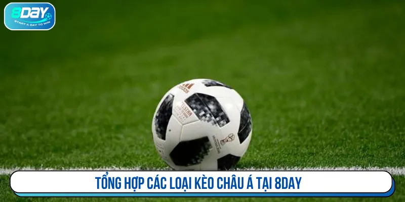 Loại kèo cược châu Á áp dụng cá độ bóng đá